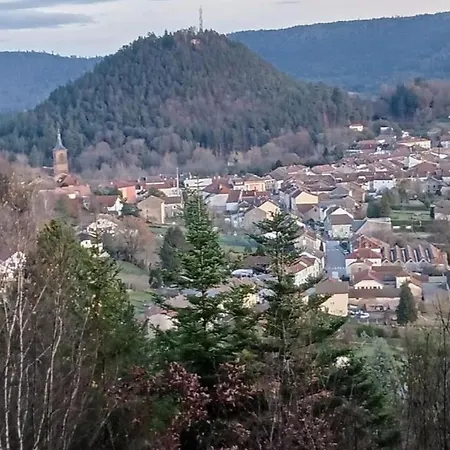 Apartment Gite, Au Calme, Avec Vue Imprenable Sur La Nature Environnante Deycimont