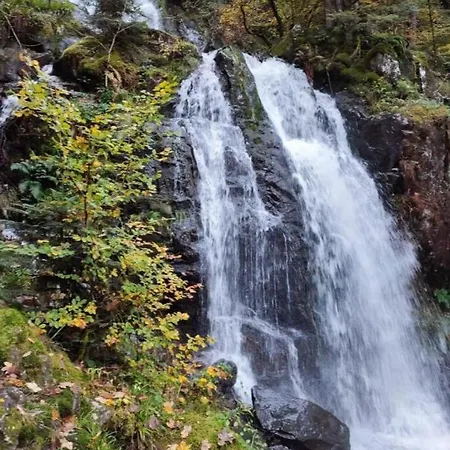 Gite, Au Calme, Avec Vue Imprenable Sur La Nature Environnante * Deycimont