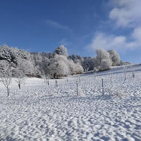 Gite, Au Calme, Avec Vue Imprenable Sur La Nature Environnante Lepanges-sur-Vologne