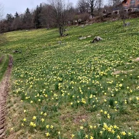 Gite, Au Calme, Avec Vue Imprenable Sur La Nature Environnante Lepanges-sur-Vologne