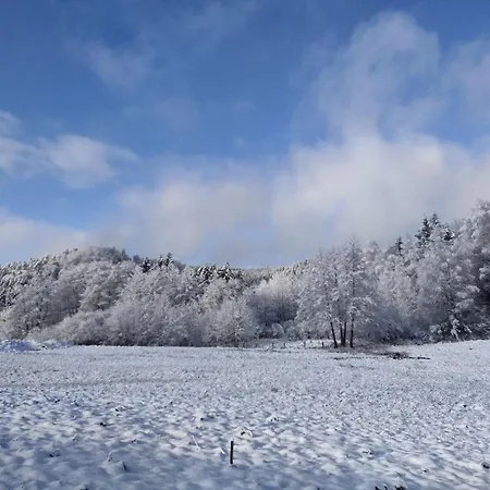 Lejlighed Gite, Au Calme, Avec Vue Imprenable Sur La Nature Environnante Lepanges-sur-Vologne