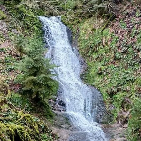 Gite, Au Calme, Avec Vue Imprenable Sur La Nature Environnante Lejlighed Lepanges-sur-Vologne