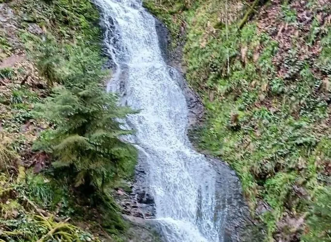 Appartement Gîte, Au Calme, Avec Vue Imprenable Sur La Nature Environnante