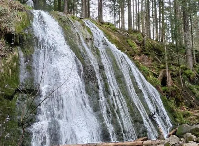 Appartement Gîte, Au Calme, Avec Vue Imprenable Sur La Nature Environnante