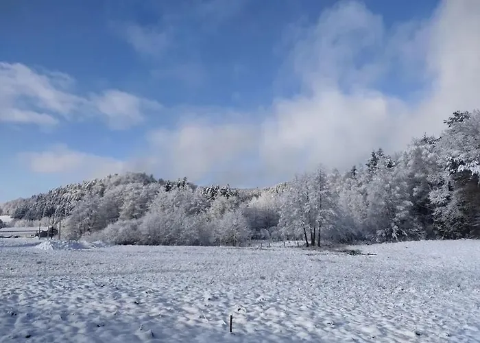 Lägenhet Gite, Au Calme, Avec Vue Imprenable Sur La Nature Environnante