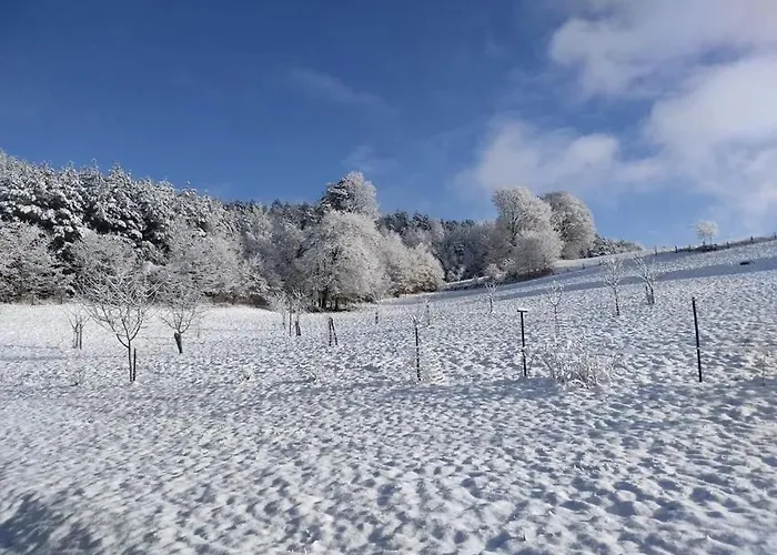 Lägenhet Gite, Au Calme, Avec Vue Imprenable Sur La Nature Environnante *